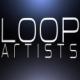 loopartists's Avatar
